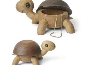 Speedy