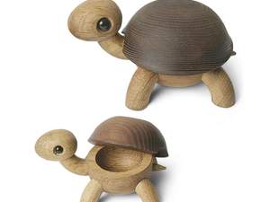 Speedy